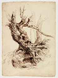 Knotig trädstam, ca 1826